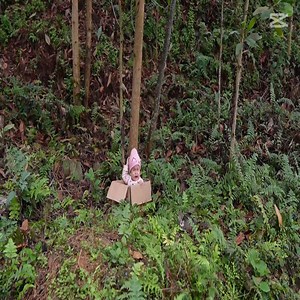 Unexpectedly; Poor Girl Encountered An Orphan Baby Who Was Left Near The Trash Dumb While She Was Collecting Plastic Bottles On The Road | Family&Aymie