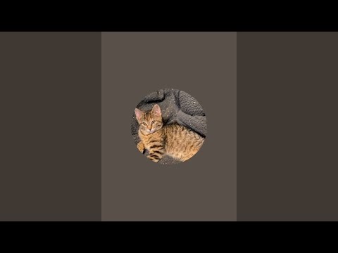 Back in the shop making drop spindles