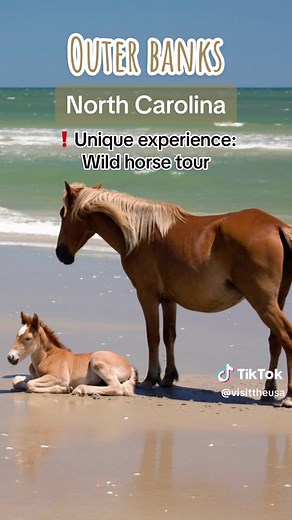 Looking for a family vacation away from the hustle and bustle? Here are 6 low-key summer spots in the USA your family will enjoy exploring! #VisitTheUSA #familyvacation #summertime #lowkeysummer