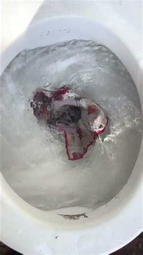 1965 American-Standard cadet vs a microfiber washcloth