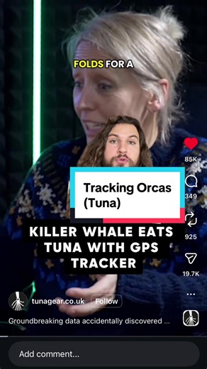 Orca Eats Tracker: Insights on Killer Whale Research