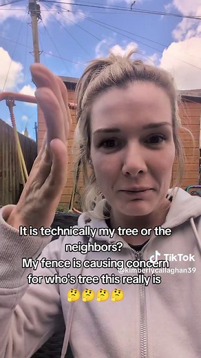 Whose Tree Is It? Determining Tree Ownership When Boundaries Blur