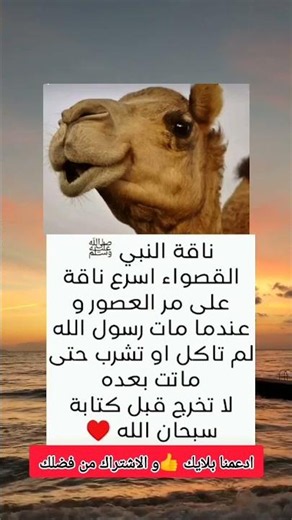 حكم واقوال عن الحياة #حكم #حكمة_اعجبتني #حكمة_اليوم #حكمة_رائعة #اقوال_الجوكر #shortvideo