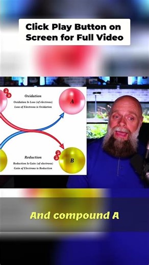 Redox Reactions Explained: Oxidative Phosphorylation Basics