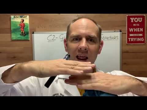 Giant Covalent Structures like diamond and graphite for GCSE Chemistry