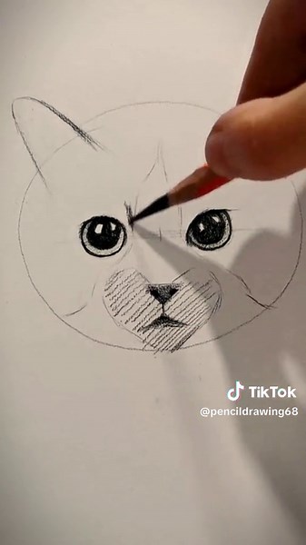 Learn How to Draw a Cat with Pencil | Step-by-Step Drawing Tutorial