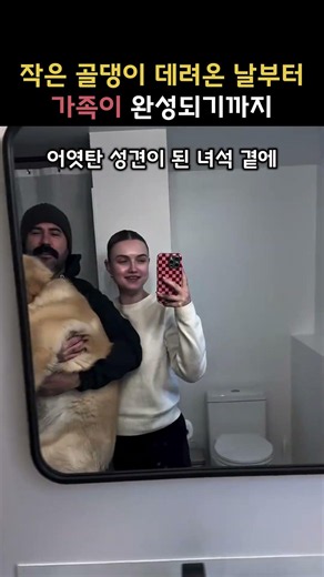 작은 골댕이 데려온 날부터 가족이 완성되기까지