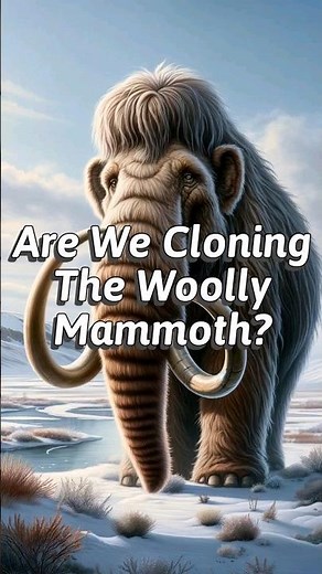 Are We Cloning The Woolly Mammoth?