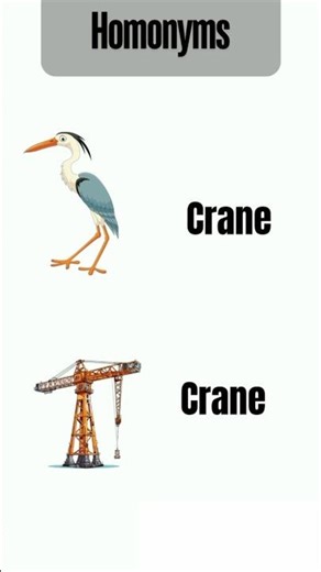 Why is a Match like a Matchstick? 🏏🔥 #Homonyms