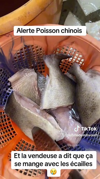 Qualité du Poisson sur le Marché : Analyse Critique d'un Produit Controversé