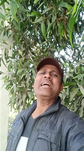 Hum Bewafa Hargiz Na The - Lyrical Video / Shalimar / Kishore Kumar / Dharmendra, Zeenat Aman