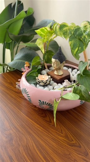 Pinterest Jaisa Mini Garden Ghar Par 🌿😍 #diygarden #minigarden #gardening #shorts #youtubeshorts