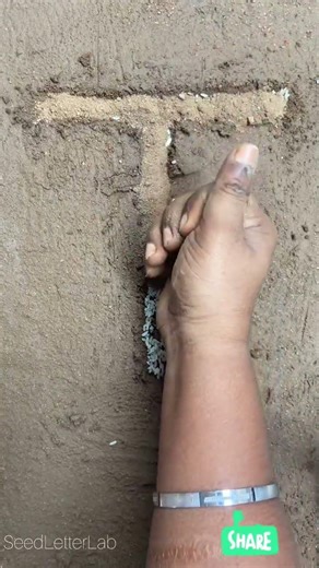 Watch Seeds Turn into the Letter T Satisfying Nature Growth 🌱