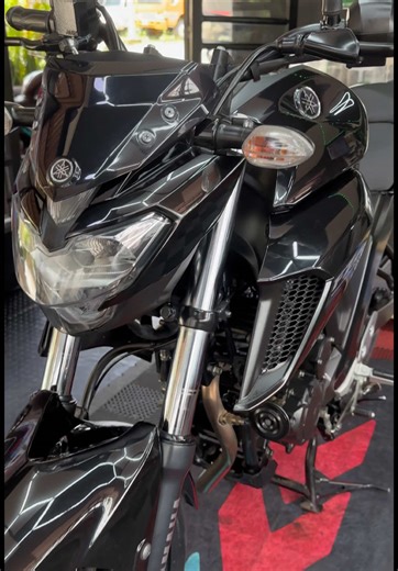 FZ250 vs Gixxer 250: Power and Speed Comparison