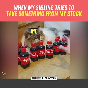 711K views · 5K reactions | Kisne touch kiya usko! @ your sibling and remind them the rules! | FilterCopy | Facebook