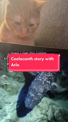 The Fascinating Coelacanth: A Story of Discovery and Conservation