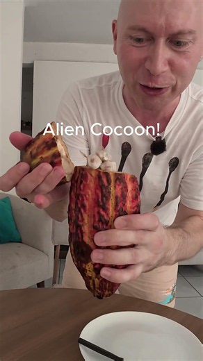 What's inside the Alien's cocoon? #shorts #unexpected #brainrot