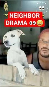 Dogs Listening to Neighbor Drama 2026😂 #fails #cute #videos