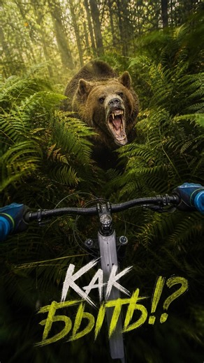 Медведи и горный велосипед! Велопокатушки. MTB, eMTB.