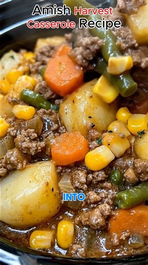 You know those recipes that just feel like a warm hug? This Amish Harvest Casserole is exactly that! Loaded with ground beef, tender vegetables, and topped with melty cheese, it’s the kind of comfort food that makes everyone gather around the table with smiles. | Recipes sophia
