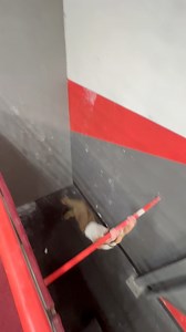 Orlando Devaux on Reels