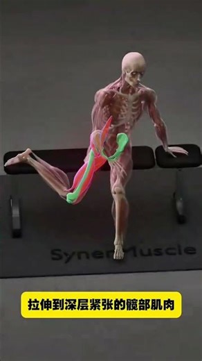 Unlock Hip Flexibility: The Ultimate Guide