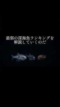 最弱の深海魚ランキングTOP3 #魚 #深海生物 #雑学 #ずんだもん解説