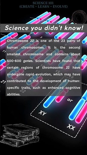 Chromosome 22 simplified
