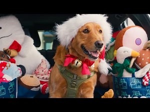Unleash The Merry | Petco Holiday 2025 (Extended)