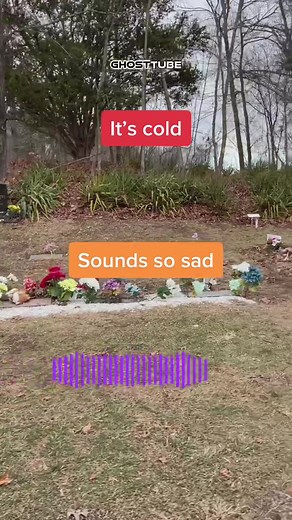Old session. Im using GHOST TUBE VOX. #fyp #DanceWithTurboTax #cemeteryexploring