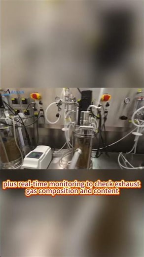 Gut Bioreactor: Research Game-Changer