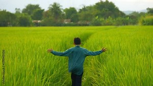 Children farmer slow motion running and walking in rice field of organic plantation in rural, back side view of people in courntryside