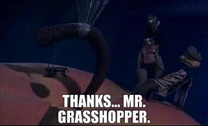 Thanks... Mr. Grasshopper.