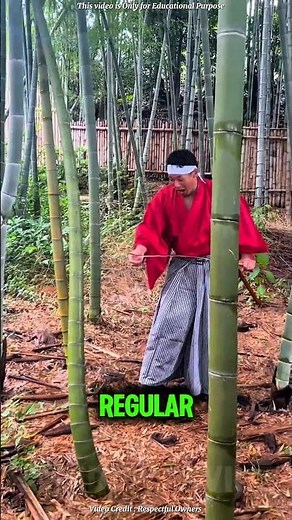 Truth About Katana Sharpness