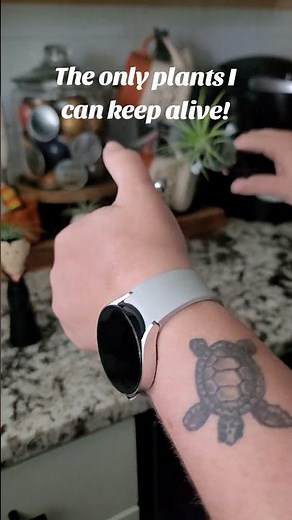 AIR PLANT CARE 101 🌱 How to Keep Your Air Plant Healthy