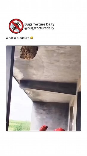 Bugs Torture Daily on Instagram: "Bugs torture means causing harm or suffering to small insects, which is a cruel and unnecessary act. Bugs are living creatures that play an important role in nature, such as helping plants grow and cleaning the environment. Hurting or killing them for fun is not only wrong but also shows a lack of kindness and respect for life. Instead of torturing bugs, we should learn about them and understand how they help our world. Treating even the smallest creatures with