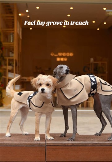 Matching OBINE Trench Coat for Dogs