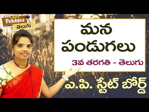 Mana pandagalu (Full Lesson) 3rd Class Telugu Video Lessons & Rhymes | A.P Telugu