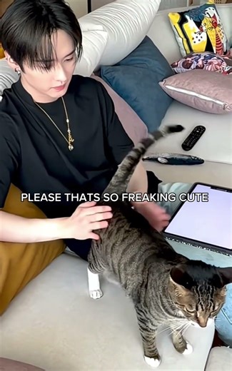 kitty 1 and kitty 2 🥹 #leeknow #skz #straykids #dori #leeknowscats #youtube #kpop #shorts #fypシ