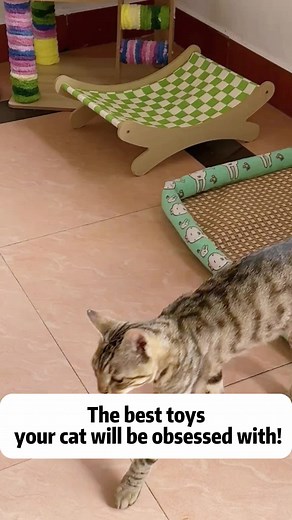 DIY Cat Toys for Cute Cats: Easy Instructions