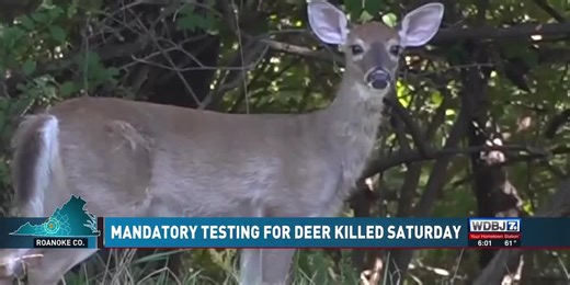 DWR to Conduct Mandatory CWD Testing for Deer