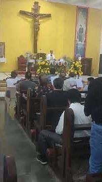 St Cecilia Feast #mumbai #musician #mass #music #travel #youtube #video #ytshorts #viralvideo #reel