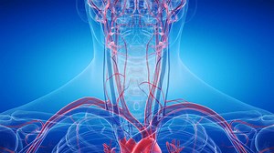 Cervical Risk Assessment | Physiopedia Plus