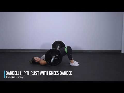 Knees Banded Barbell Hip Thrust - OPEX Exercise Library