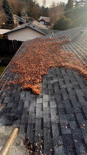 #homeservicebusiness #cleaning #roofs #guttercleaning #diamond #ExteriorCleaning #satisfying #friday | Diamond Exterior Cleaning LLC