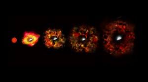 Collapsing Star Gives Birth to a Black Hole