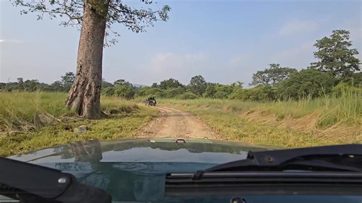 845K views · 15K reactions | Jim Corbett National Park Garjiya Zone Jungle Safari Cb Singh Cb . . . #post #jungle #travel #facebookviral #corbett #jimcorbett #wildlife #trend #utah #bikeride #bike #bikers #FreeFire #freestyle #gaming #game #junglesafari #india #travllerslife #uttarakhandheaven #uttarkashi #CampBesties #community #ricketyrockets #openroad #besties #alberta #motherlylove #humpdaymotivation #playfulbanter | Jim Corbett Wildlife & Nature View | Facebook