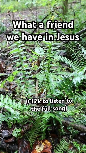 What a friend we have in Jesus, all our sins and griefs to bear #whatafriendwehaveinjesus #hymns