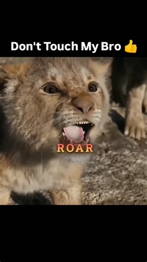 don't touch my bro mere bhai ko koi hath nhi lagayega. #freefire #7yearold