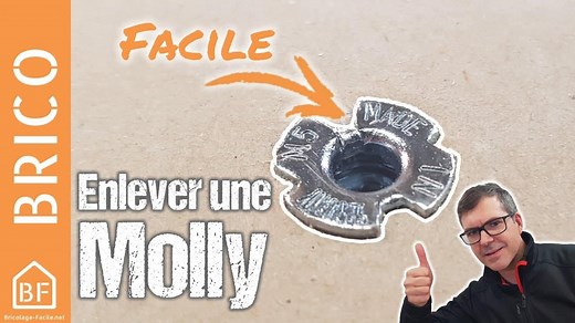 Comment enlever une cheville Molly sans dégât - Bricolage Facile